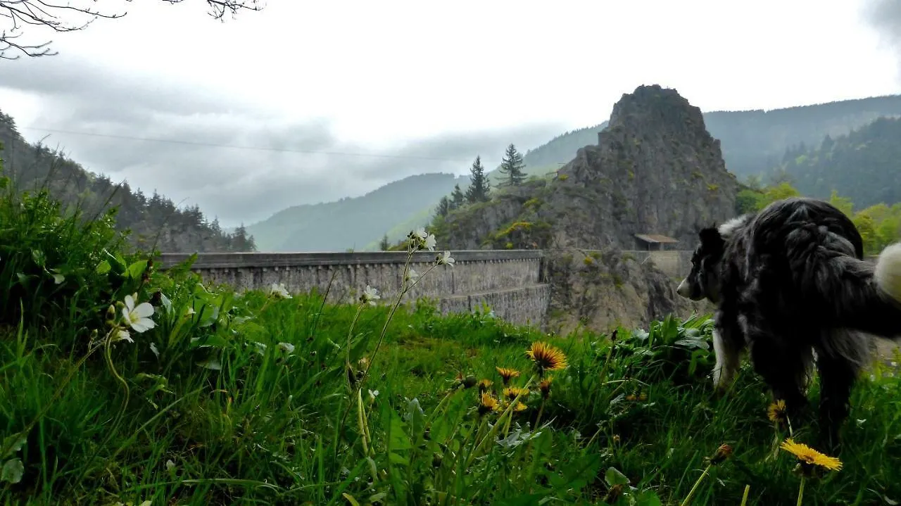 La Fortance Paradis Naturel - Proche De La Ville Planfoy Bed & Breakfast